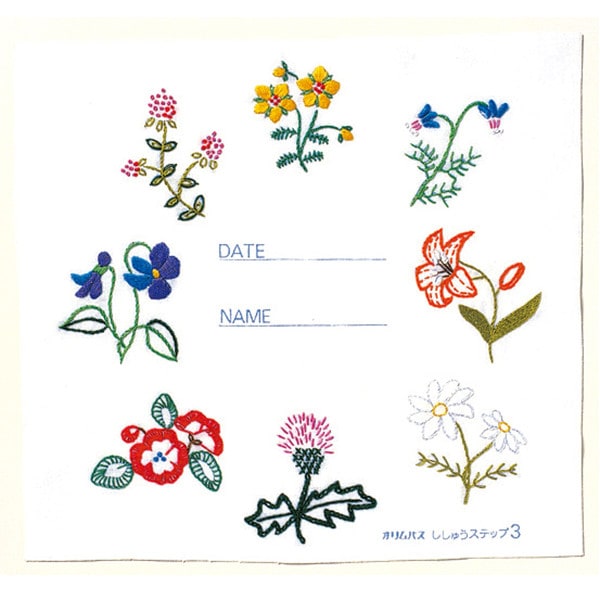 Embroidery kit "Basic Type Step 3" Olympus