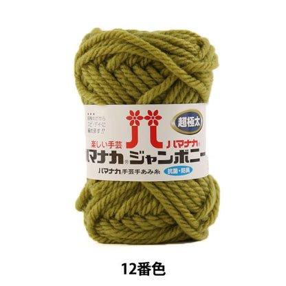 Yarn "Hamanaka Jumbony Super Fighter 12th Color" Hamanaka