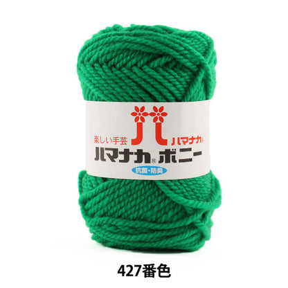 Yarn "Hamanaka Bonnie 427 color" Hamanaka