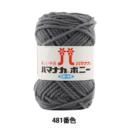 Yarn "Hamanaka Bonnie 481 color" Hamanaka