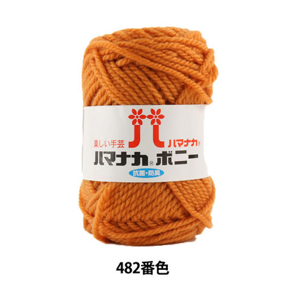 Yarn "Hamanaka Bonnie 482 Color" Hamanaka