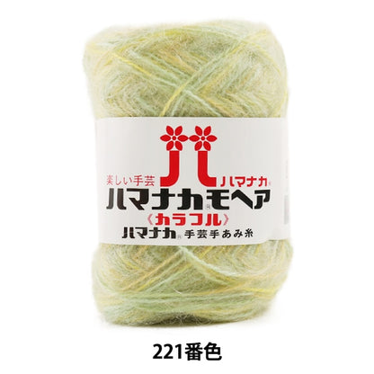 Herbst / WinterhaarGarn "Hamanaka Mohair Bunt 221 Farbe" Hamanaka