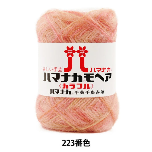 Fall and winterYarn "Hamanaka mohair colorful 223 color" Hamanaka