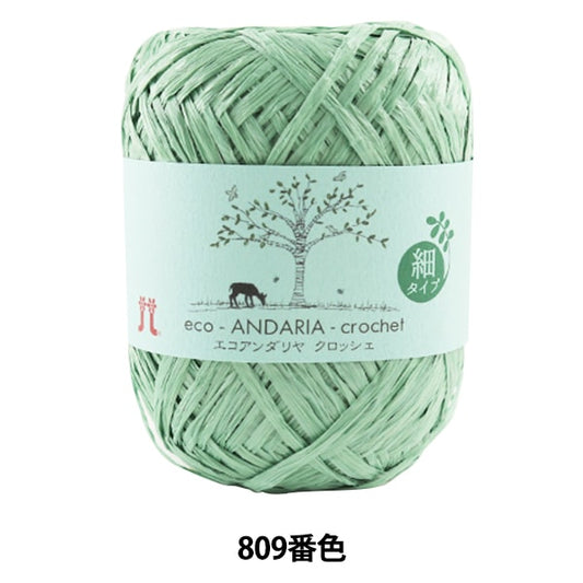 Пряжа для рукоделия "Ecoandariya Crochet 809 Color" Hamanaka