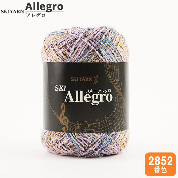 Fall and winterYarn "SKI ALLEGRO (ski Allegro) 2852 color" SKIYARN Ski Yarn