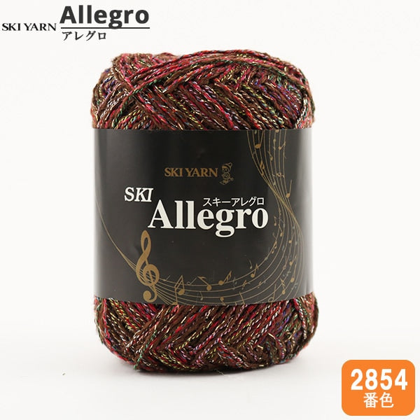 Fall and winterYarn "SKI ALLEGRO (ski Allegro) 2854 color" SKIYARN Ski Yarn