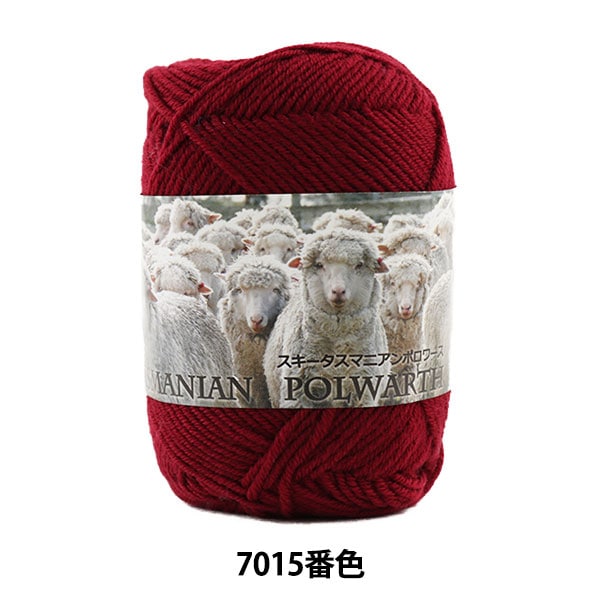 Осень / зимняя шерсть "Ski Tasmanian Polwarth 7015 Color" Skiyarn Ski пряжа