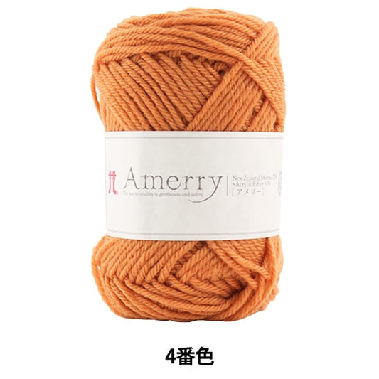 Fall and winterYarn "AMERRY (Amey) 4th color" Hamanaka