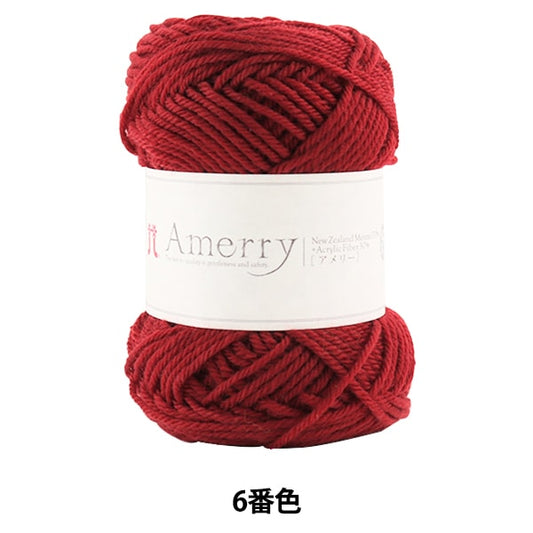 Fall and winterYarn "AMERRY 6th color" Hamanaka