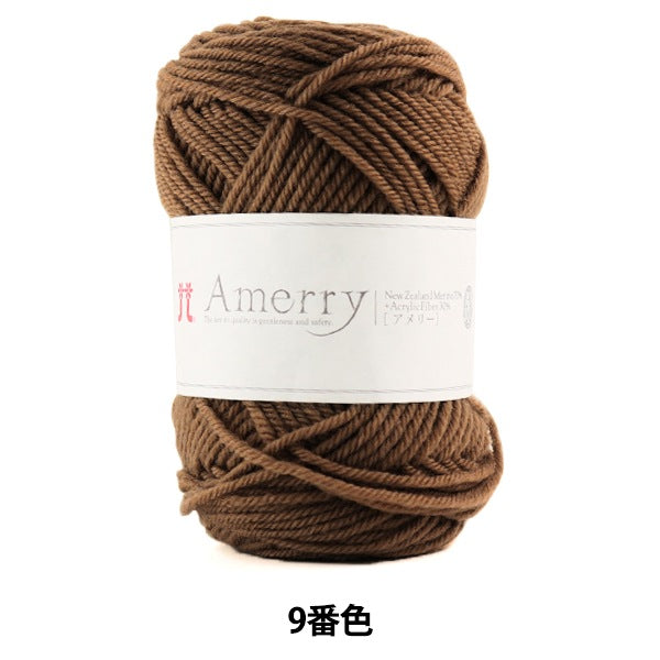 Laine d'automne / hiver "Amery (Amey) 9e couleur" Hamanaka Hamanaka