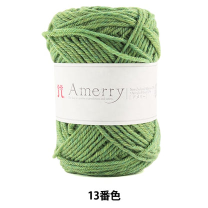 秋 /冬羊毛“ Amerry（Amey）13颜色” Hamanaka Hamanaka