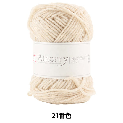 Herbst / Winterwolle "Amerry 21st Color" Hamanaka Hamanaka