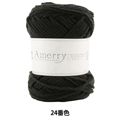 秋冬紗線 “ Amerry 24號24顏色” Hamanaka