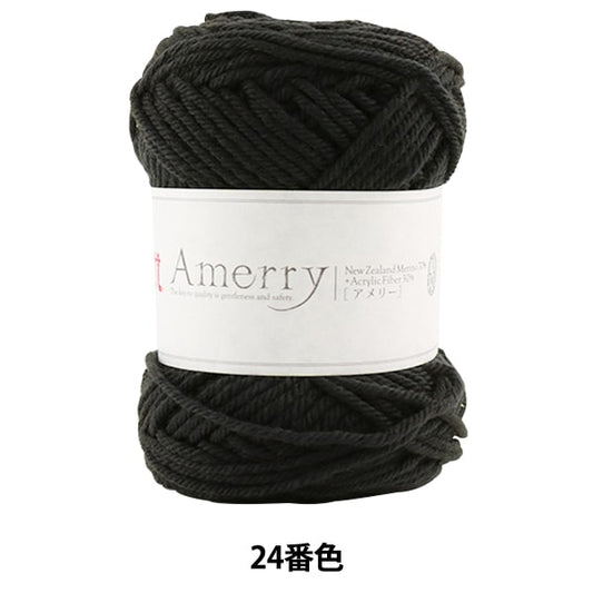 Fall and winterYarn "AMERRY 24 No. 24 color" Hamanaka