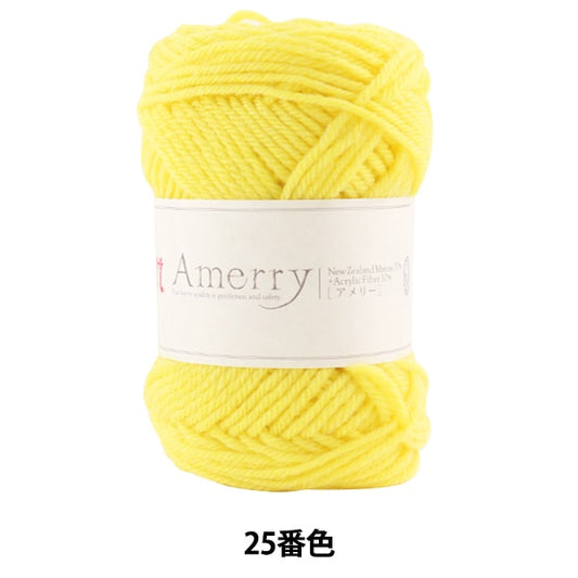 Fall and winterYarn "AMERRY 25th color" Hamanaka