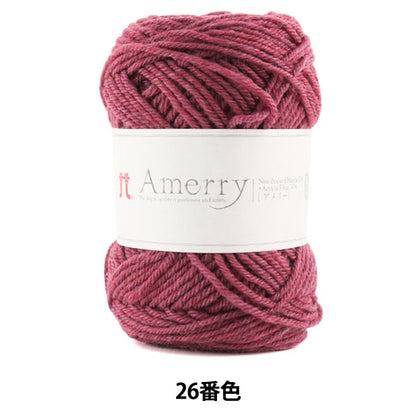 Herbst / Winterwolle "Amerry 26. Farbe" Hamanaka Hamanaka