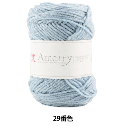 Lana autunnale / inverno "Amerry 29th Color" Hamanaka Hamanaka