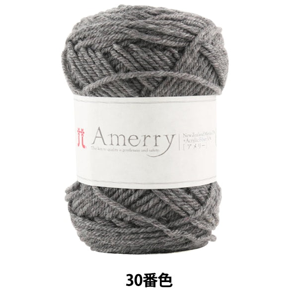 Herbst / Winterwolle "Amerry 30. Farbe" Hamanaka Hamanaka