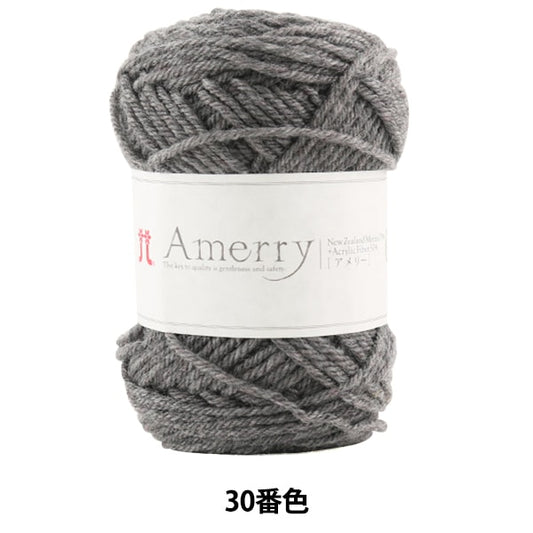 Осень / зимняя шерсть "Amerry 30th Color" Hamanaka Hamanaka