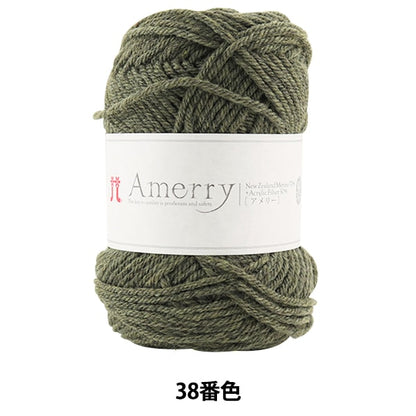 Automne / Winter Wool "Amerry 38th Color" Hamanaka Hamanaka