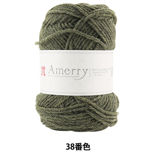 Fall and winterYarn "AMERRY 38th color" Hamanaka