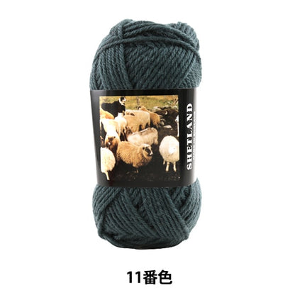 秋冬毛糸 『SHETLAND (シェットランド) 11番色』 Puppy パピー