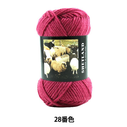 الخريف/الشتاءخيوط الغزل "لون شتلاند 28" Puppy