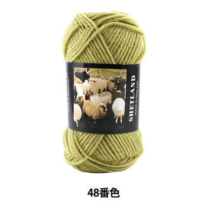 Autunno e invernoFilato "Shetland (Shetland) 48th Color " Puppy