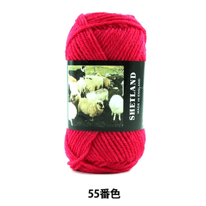 Automne et hiver laine "Shetland (Shetland) 55th Color" chiot chiot