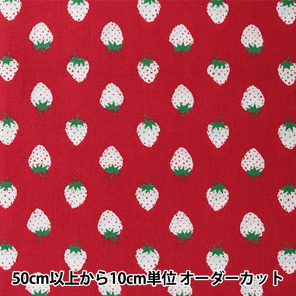 [Da quantità 5] tessuto "Collezione domestica Pattern fragole in cotone HC1097S B"