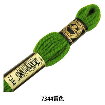 Fil de broderie "DMC n ° 4 Filetage de broderie Tapestry Wool Green 7344" DMC DIEMENTS