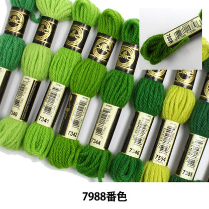 Embroidery thread "DMC No. 4 Embroidery Thread Tapestry Wool Green 7988" DMC Diements