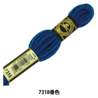 Embroidery thread "DMC No. 4 Embroidery Thread Tapestry Wool Blue 7318" DMC Diements