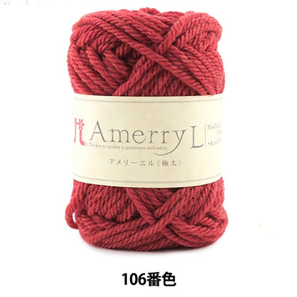 Lana autunnale / invernale "Amerry L (Ameryel) (estremamente spesso) 106" Hamanaka Hamanaka