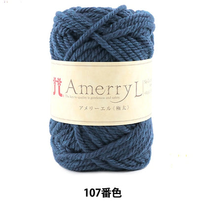 Fall and winterYarn "AMERRY L (Ameryel) (extremely thick) 107 color" Hamanaka