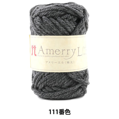 秋冬紗線 “ Amerry L（Ameryel）（極厚）111顏色” Hamanaka