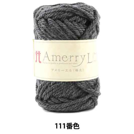 Fall and winterYarn "AMERRY L (Ameryel) (extremely thick) 111 color" Hamanaka