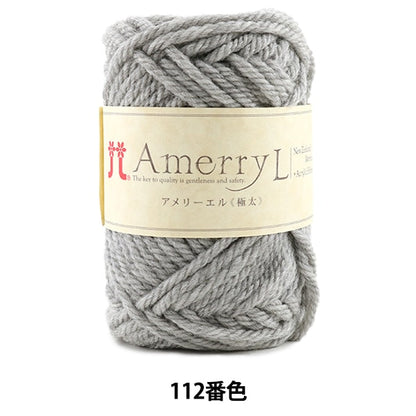 Laine d'automne / hiver "Amery L (Ameryel) (extrêmement épais) 112" Hamanaka Hamanaka