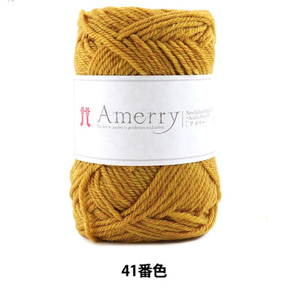 Herbst / Winterwolle "Amerry 41. Farbe" Hamanaka Hamanaka