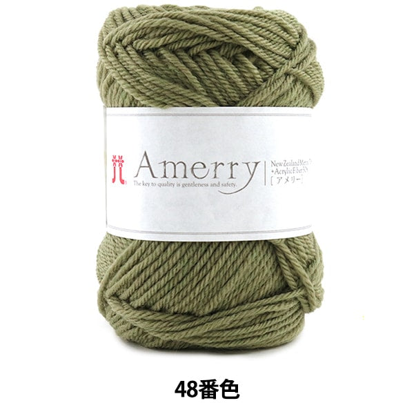 Herbst / Winterwolle "Amerry 48. Farbe" Hamanaka Hamanaka