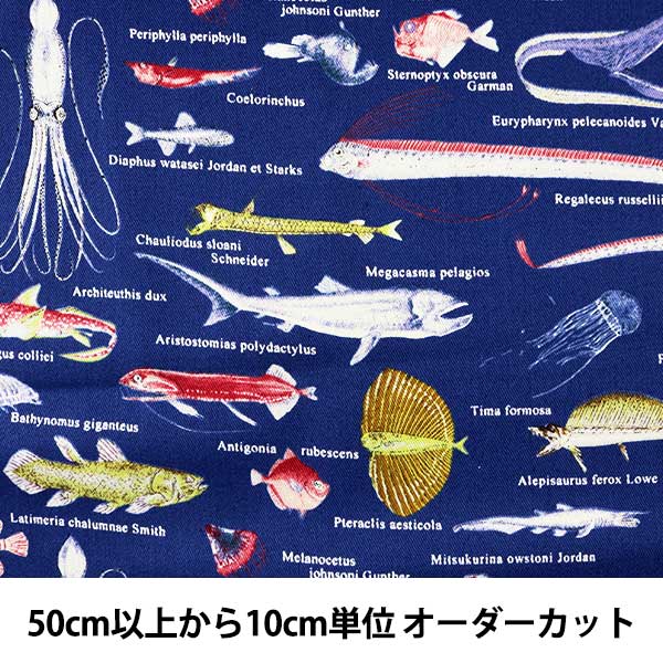 [Desde la cantidad 5] Fabric "Fabrica de tela estampada de sarga Entrada de tela de pescado profundo Interior C" Algodón Kobayashi Algodón Kobayashi Kobayashi Fibra