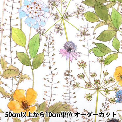 [Dalla quantità 5] Fabric "Liberty Liberty Print TANALONE IRMA 3633182-CE" Liberty Japan Liberty Japan