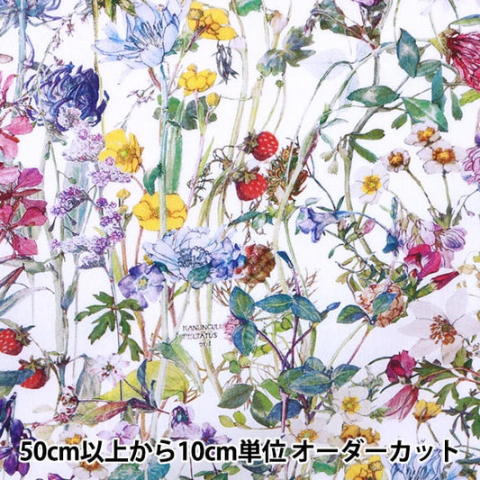 [Aus Menge 5] Stoff "Liberty Liberty Print Tanalone Wildblume 3634251-ae" Liberty Japan