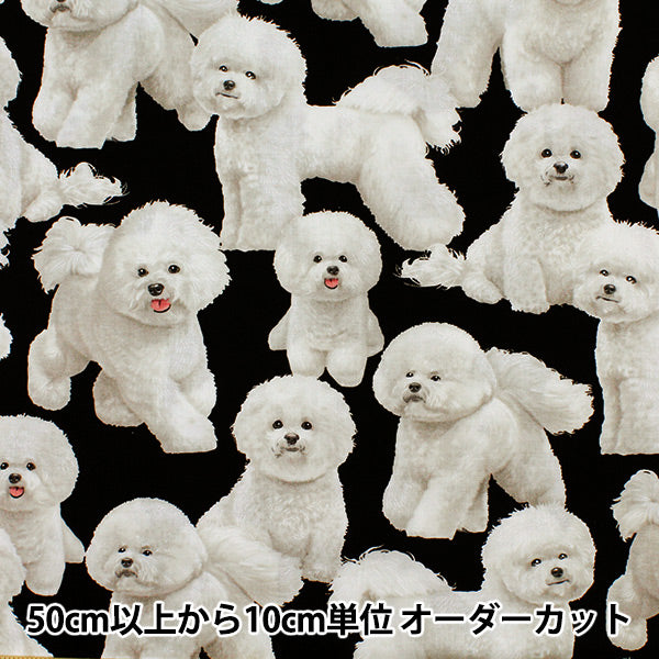 数量5から】 生地 『インクジェットプリント ビジョンフリーゼ GM