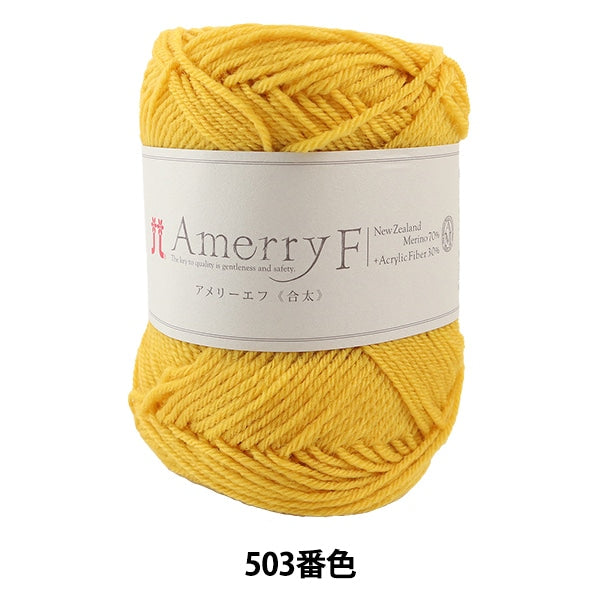 Fall and winterYarn "AMERRY F (Ameyev) (Gota) 503 color" Hamanaka