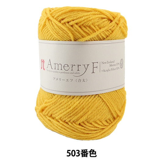 Automne / Winter Wool "Amery F (Ameyev) (Gota) 503" Hamanaka Hamanaka