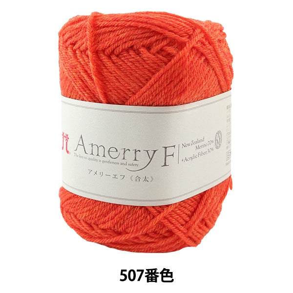 Lana autunnale / inverno "Amerry F (Amelery F) (Gota) 507" Hamanaka Hamanaka