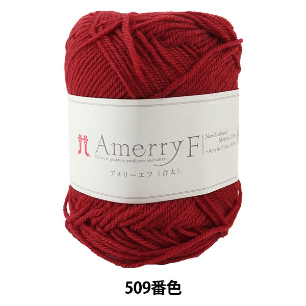 Fall and winterYarn "AMERRY F (Ameyev) (Gota) 509 color" Hamanaka