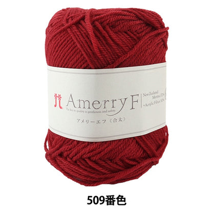 Autumn / Winter Wool "Amery F (Ameyev) (Gota) 509" Hamanaka Hamanaka