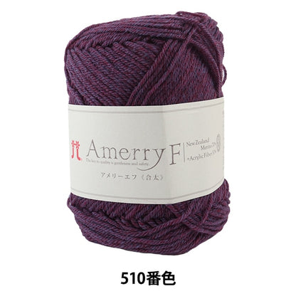 Fall and winterYarn "AMERRY F (Ameyev) (Gota) 510 color" Hamanaka